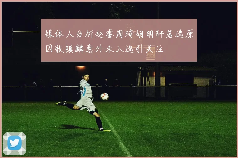 媒体人分析赵睿周琦胡明轩落选原因张镇麟意外未入选引关注