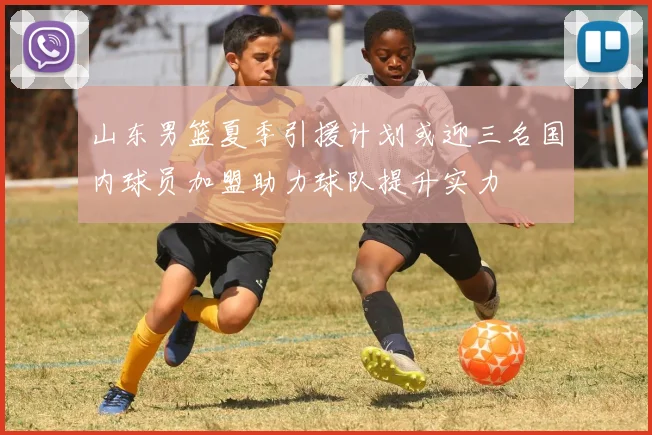 山东男篮夏季引援计划或迎三名国内球员加盟助力球队提升实力